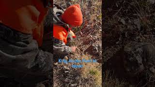 Archie teaching us more about elk tracks on the opener of the elk hunt elk elklive hunting hunt [upl. by Shannan538]