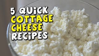 5 Quick Cottage Cheese Recipes [upl. by Asiram]