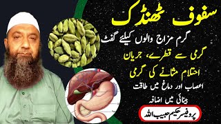 Liver Heat Treatment l Jigar Maidy Or Masany Me Garmi Ghabrahat By Hakeem Habib Ullah [upl. by Wun]