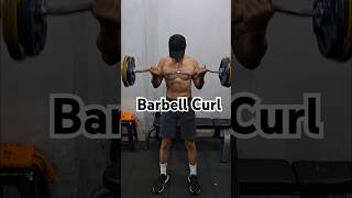 BARBELL CURL barbellcurl bicep barbell gym [upl. by Aratahc]