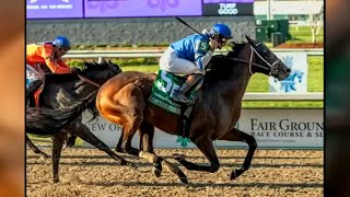 First Derby and Oaks contenders arrive at Churchill Downs [upl. by Nyrehtak163]