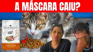 Gatos DOENTES Após O CONSUMO da BIOFRECH [upl. by Ynaffad]