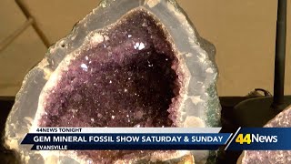 Gem Mineral amp Fossil Show taking place over the weekend [upl. by Hairakcaz]