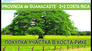 ПОКУПКА ЗЕМЛИ В КОСТАРИКЕ Провинция Guanacaste vlog жизньвкостарике костарика эмиграция lgbt [upl. by Ravi849]