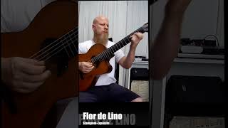 TANGOS IMPROVISADOSFLOR DE LINO guitar tango [upl. by Adieren739]