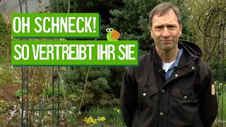 Pflanzen erfolgreich vor Schnecken schützen  Der Grüne Tipp kompakt [upl. by Keheley]