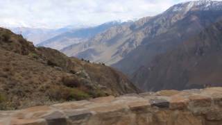 Colca Canyon Peru [upl. by Ragouzis]