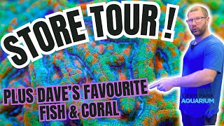 My LFS Tour amp The Owners Favourite Fish and Coral [upl. by Atorod]