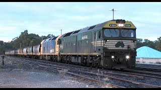 G524BL28 on 9147 at Dunolly 200424 [upl. by Alegnaed]