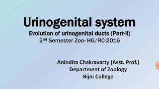 Evolution of Urinogenital ducts Part 2Bijni CollegeAssam [upl. by Baram]