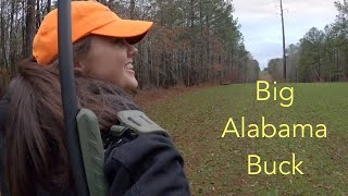 Big Alabama 7 Pointer [upl. by Eirehs]