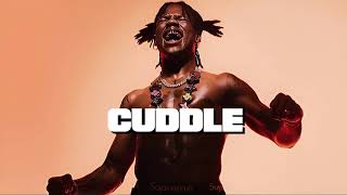 FREE “CUDDLE” Rema x Wizkid x Afrobeat Type beat 2024 [upl. by Lilyan646]