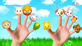 Kedi Parmak Miyav  Köpek Parmak  Hayvanları Öğreniyoruz PamPam Family Nursery Rhymes amp Kids Songs [upl. by Grimbald828]