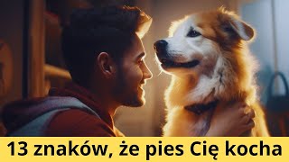 13 oznak psiej miłości 🐶 Po czym poznać że Twój pies Cię kocha Jak psy okazują miłość 💕 [upl. by Arodnahs]