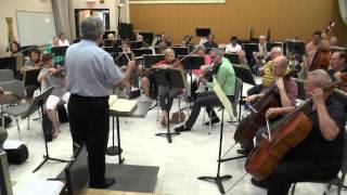 Orchestra Society of Phila Tchaikovsky Swan Lake Excerpt [upl. by Neelhtac]