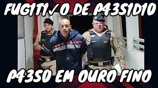 FUG1T1✓O DE P43S1D1O P43SO EM OURO FINO [upl. by Scott346]