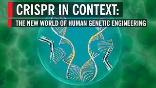 CRISPR in Context The New World of Human Genetic Engineering [upl. by Wayolle515]