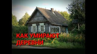 Как умирают деревни Заброшенная Россия [upl. by Nauh199]