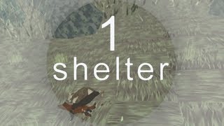 Shelter First Look  Preview Gameplay  Part 1 [upl. by Sternberg]