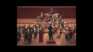 Nielsen Flute concerto [upl. by Thgirw401]