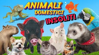 ANIMALI DOMESTICI INSOLITI Scopri Caratteristiche e Curiosità [upl. by Illak880]