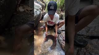 gold prospecting 2024 finding gold in sand gold prospecting for beginners [upl. by Queri]