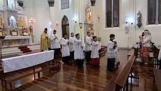 Bênção das Velas Procissão e Intróito da Festa da Purificação de Nossa Senhora [upl. by Harrak735]