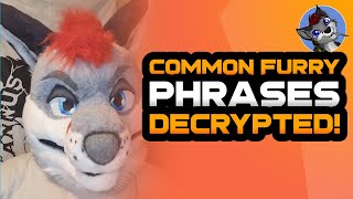 Common Furry Phrases Decoded Shrapnels guide to Furry Lingo [upl. by Retnuh]