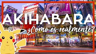 AKIHABARA JAPON ¿la meca del anime y los videojuegos🤔  JAPON TOKIO 2 [upl. by Sutherland]