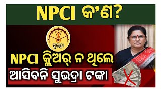 NPCI Link To Bank Account Kaise Check Kare ✓ NPCI Kya Hota Hai ✓ NPCI Check Kemiti Kariba ✓ [upl. by Duke906]