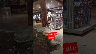 At cross iron mall Calgary shortvideo youtubeshort mall subscribers [upl. by Emawk]