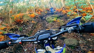 Hard Enduro Series  208  Sherco SE 250  Fun  Fails  Santo Tirso [upl. by Brass]