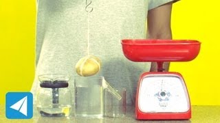 Archimedes Principle demonstration  Buoyancy  Physics [upl. by Ley564]