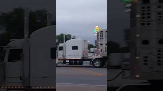 Pete 389 with Hutchinson rolling out of Knoxville IL Aug 6th 2024 [upl. by Kerad]