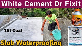 White Cement Terrace Waterproofing  White Cement For Water Leakage  Dr Fixit 302 [upl. by Leimad]