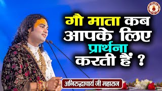 गौ माता कब आपके लिए प्रार्थना करती है  Aniruddhacharya Ji Maharaj  Sanatan Vachan  Pravachan [upl. by Renado912]