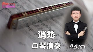 【口琴演奏】┋ 消愁 ┋ Cover by Adam [upl. by Khano]