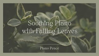 Falling Leaves  Soothing Piano Solos [upl. by Crellen]