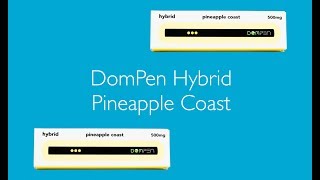 DomPen Hybrid Pineapple Coast [upl. by Eilema828]