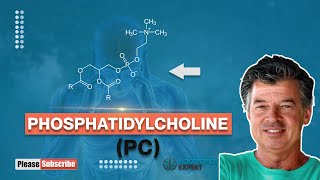 Phosphatidylcholine [upl. by Sholes]