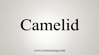 How To Say Camelid [upl. by Merton]