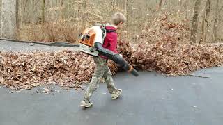 Blowing leaves with Stihl br800 amp echo pb8010 [upl. by Miki]