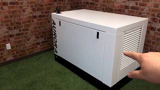 Aurora Diesel Generator  A Quick Review [upl. by Teage]