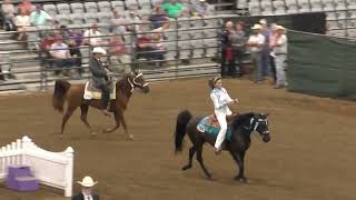 2024 NBC  NBC Senior Specialty Championship [upl. by Bock]