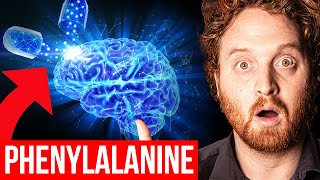 Your Brain On Phenylalanine [upl. by Lodmilla]