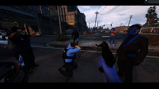 FiveM Montage  Royal Mafia  Nodus RP [upl. by Loats69]