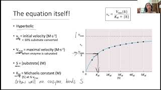 Enzyme Kinetics II 2 [upl. by Chari47]