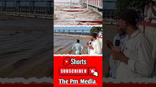 Koshi bridge update  shorts koshibarrage [upl. by Stichter677]