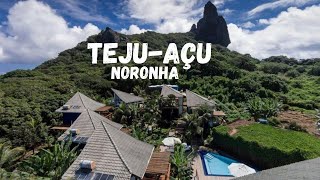 Pousada TejuAçu um dos melhores hotéis da ilha  onde ficar em Fernando de Noronha [upl. by Nedac623]