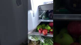 SAMSUNG FRIDGE NOT MAKING ICE AND WHIRRING NOISE [upl. by Campney]